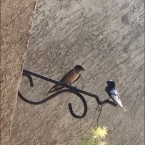 Meet your Posher, Mar